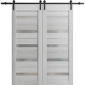 Sartodoors Sturdy Barn Door 36 x 80in, Quadro 4111 Matte Black, Stainless Steel 6.6FT Rail Hangers Heavy Set QUADRO4111BD-S-BLK-36